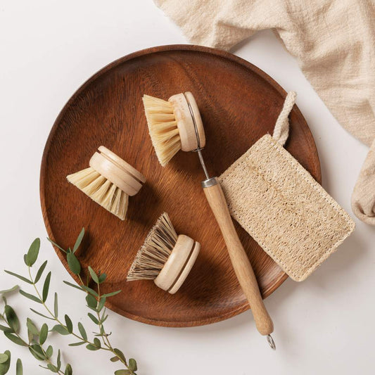 Eco Dish Brushes -0