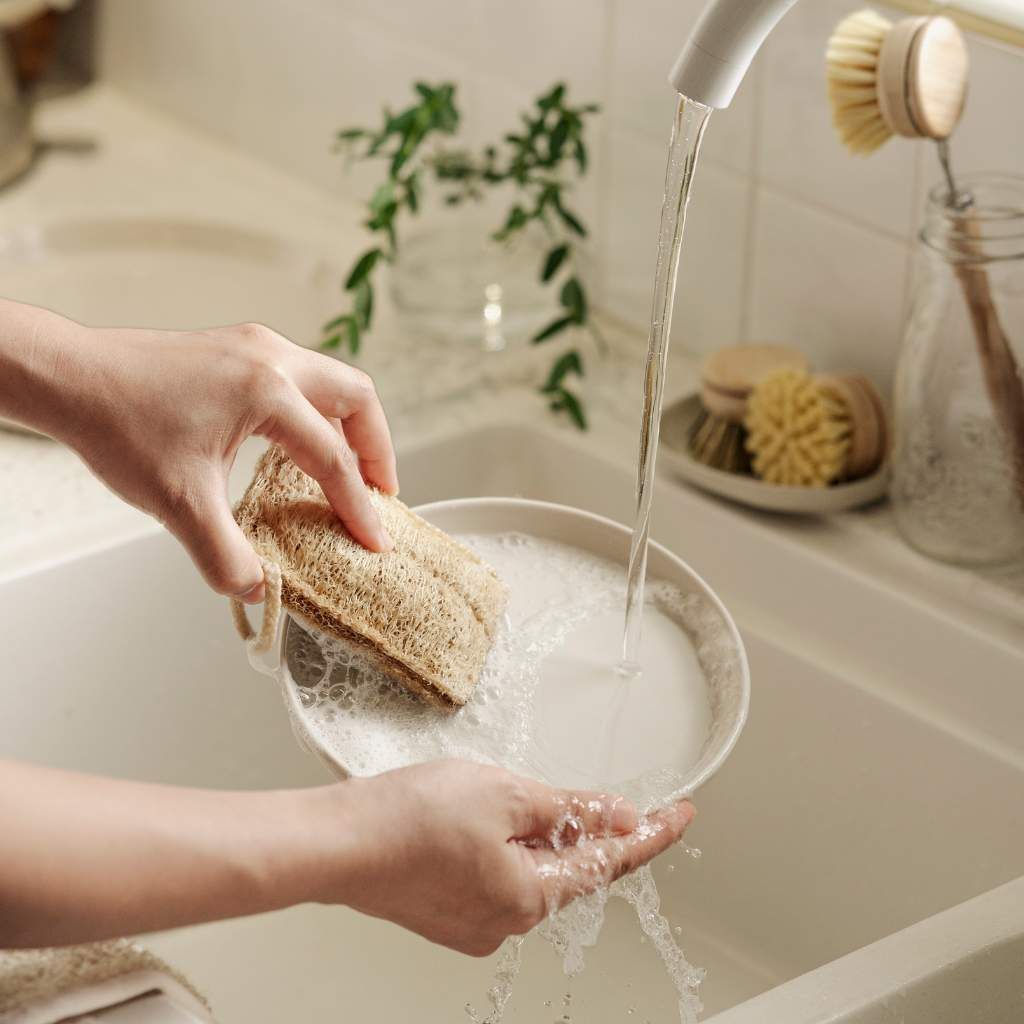 Eco Dish Brushes -4