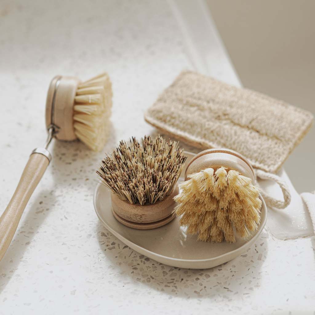 Eco Dish Brushes -3