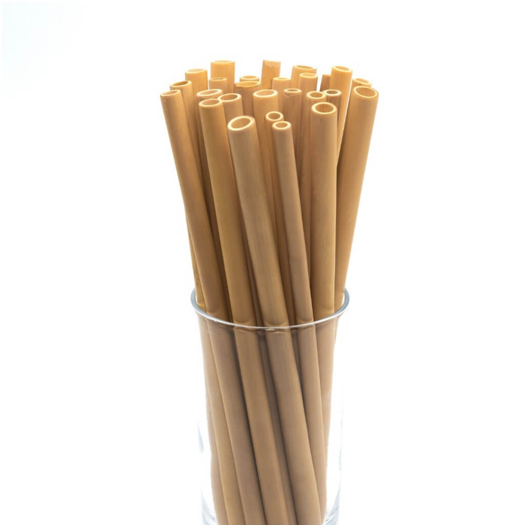 Reusable Bamboo Drinking Straws -1